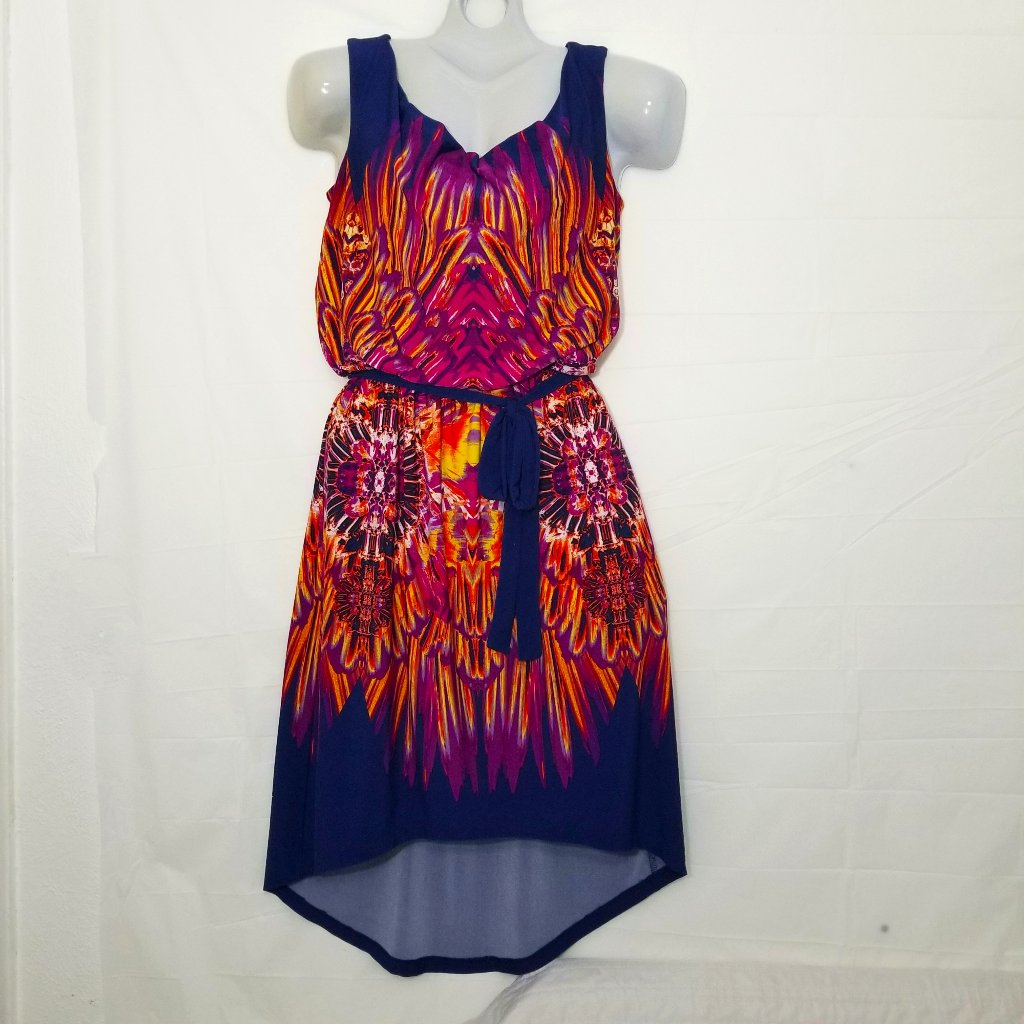 Fenn Wright Manson Womens 4 Sleeveless High-Low Blue Purple Yellow Orange Dress